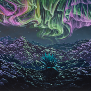Southwestern Sonata Composed by Northern Lights